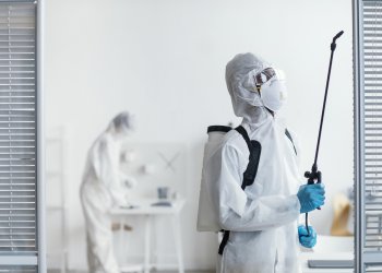 En Sık Görülen Ev Böcekleri ve Onlardan Korunma Yolları