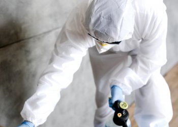 Beşiktaş Böcek İlaçlama – Profesyonel ve Kalıcı Haşere Kontrol Hizmeti