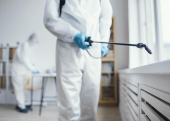 Beşiktaş Böcek İlaçlama – Ev, Ofis ve Fare İlaçlama Hizmetleri