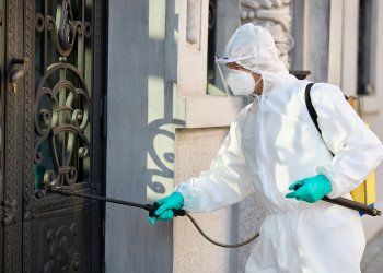 Beşiktaş’ta Tahta Kurusu ve Böcek Sorunları Neden Hızla Artıyor?