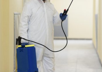 Kış Aylarında Beşiktaş ' da Artan Haşere Problemleri