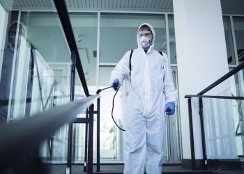 Beşiktaş Böcek İlaçlama | Böcekler Neden Aynı Eve Tekrar Geri Döner?